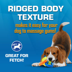 Nerf Dog textura ondulada, masajea encías y ayuda a mantener dientes limpios.