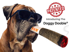 Nestpark Doggy Doobie avec couineur, stimule l'activité et amuse longtemps les chiens.