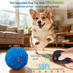 Newget bola con modos interactivos de 3 opciones para perros de energía variable