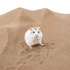 Niteangel arena desertica para gerbil: ayuda a mantener el pelaje limpio y brillante
