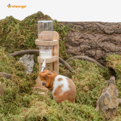 Base estable Niteangel para colocar la botella en jaulas o terrarios.