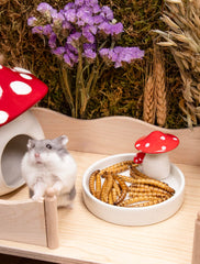 Niteangel golosinas vegetarianas para mascotas pequeñas, impulsan juego y curiosidad.