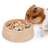 Niteangel tazón para hámster con Patrón Hammy, ideal para hámster sirio