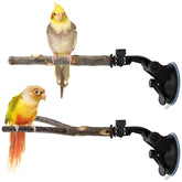 Niuohoy ventosa fuerte: percha estable para aves en ventana