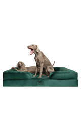 Cama NOAH & PAW para perro gigante XXL, superficie acolchada y cómoda.