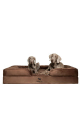 NOAH & PAW Cama XXL, vista frontal, soporte ortopédico para perros grandes.