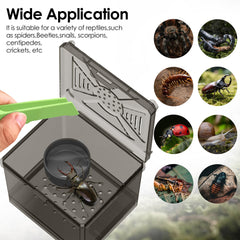 NOMOY Kit de Hábitat para Insectos Pequeños, tapa ajustada evita escapes con seguridad
