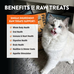 Northwest Naturals Premios Salmón, uso diario para perros y gatos.