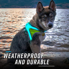 Noxgear LightHound ofrece batería recargable para hasta 12 horas de iluminación.