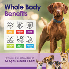 NuLife masticable para perros, perro degustando, facilita la rutina diaria.