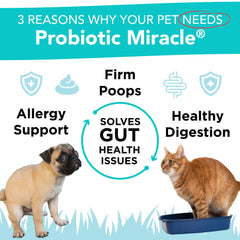Nusentia Probiotics con cucharita de medida para dosis diarias simplificada.