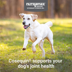 Nutramax Cosequin: envase y logo que inspiran confianza.