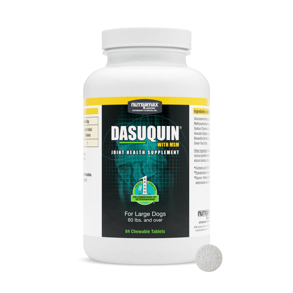 Nutramax Dasuquin para perros grandes, tableta masticable para movilidad diaria.