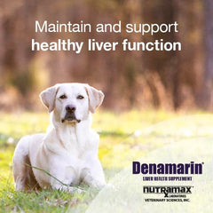 Nutramax Denamarin para perros, tabletas masticables, ayuda a mantener niveles de glutatión en el hígado