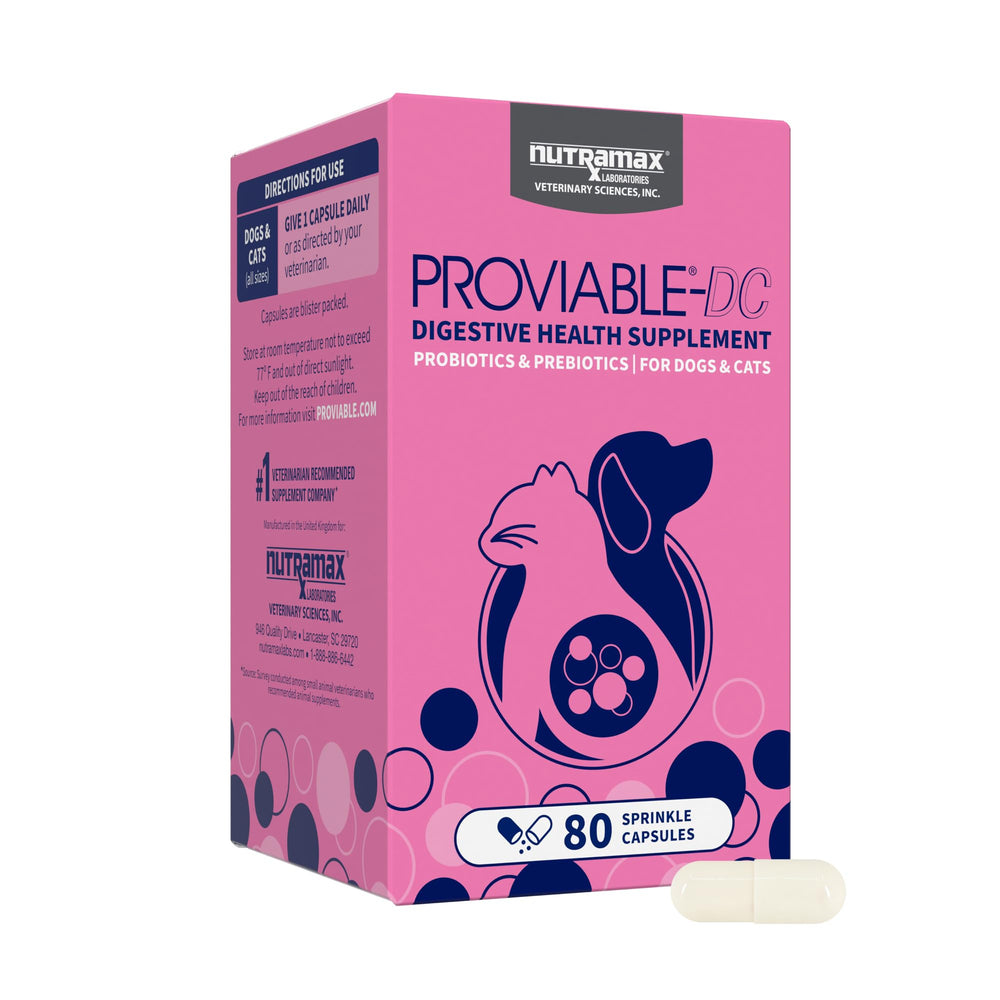 Nutramax Proviable: cápsulas para perros y gatos que apoyan la salud digestiva