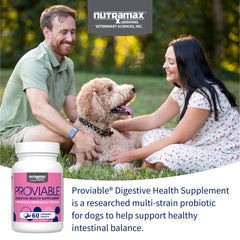 Nutramax Proviable: perro masticando tableta, apoyo digestivo diario.