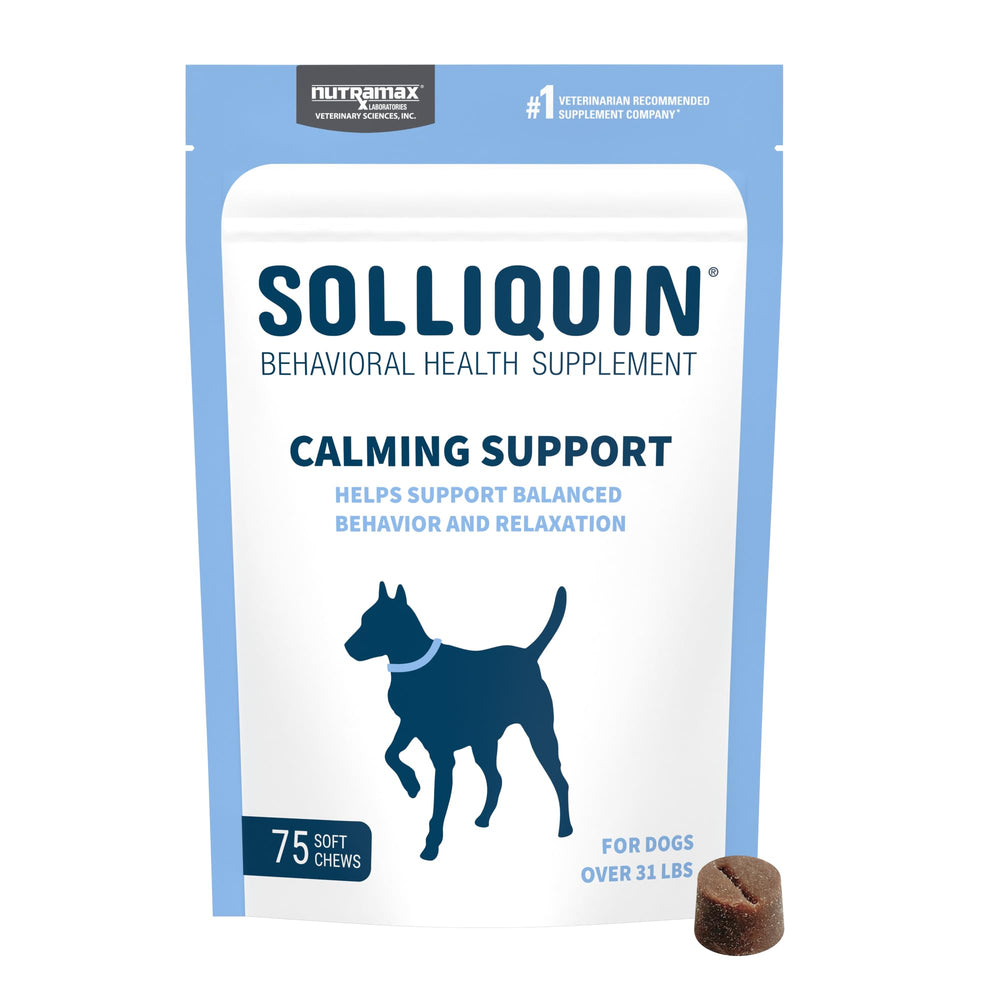 Frasco de Nutramax Solliquin, comprimidos para apoyo calmante diario en perros.