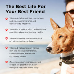 Nutri-Vet Adult-Vite Plus vitamina C, defensas y bienestar general.