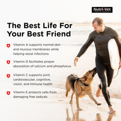 Nutri-Vet Senior-Vite, apoyo para corazón de perros mayores.