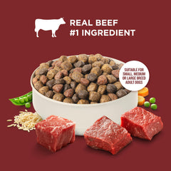 Nutrish Rachael Ray: taza medidora para porciones y dos comidas diarias.