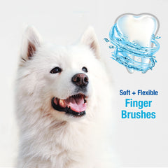 Nylabone dos cepillos dentales para perros en el paquete