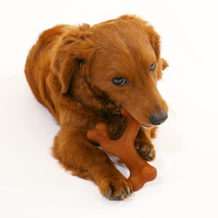 Nylabone Gourmet Style Wishbone duradero para perros fuertes