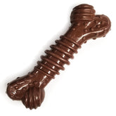 Nylabone hueso dental texturizado potencia la masticación segura