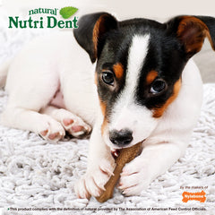 Nylabone Nutri Dent ofrece aliento fresco tras el uso diario
