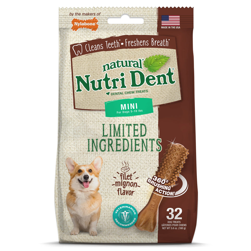 Nylabone Nutri Dent mini 32 piezas en envase, ideal para masticar diariamente
