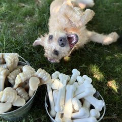 Nylabone Original Hueso Poder Masticador, nylon duradero para masticadores agresivos.