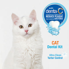 Nylabone pasta Denta-C original para gatos, tubo visible