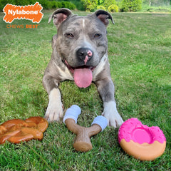 Nylabone Power Chew Bundle tocino glaseado, detalle: forma única para morder y mantener ocupación.