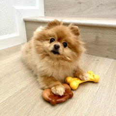 Nylabone Power Chew: hueso de queso lamido para masticar con sabor.