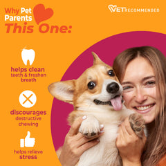Nylabone small-dog 5-inch wishbone supports stress relief through chewing.