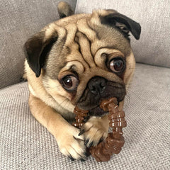 Nylabone Superficie texturizada: ayuda a limpiar dientes durante la masticación.
