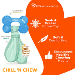 Nylabone textura con cerdas para masajear encías durante la masticación