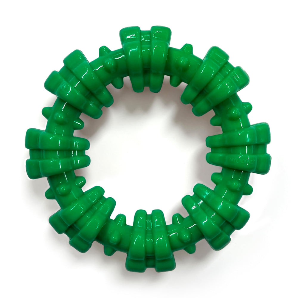 Nylabone Ring Power Chew: anillo texturizado para masticar y entretenimiento.