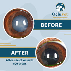 Formulación antioxidante de OcluVet para el cuidado ocular