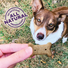 Old Mother Hubbard Mezcla original Char Tar galletas para perros, sabor intenso