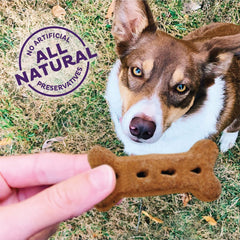 Golosina natural con manzana y zanahoria para perros Old Mother Hubbard
