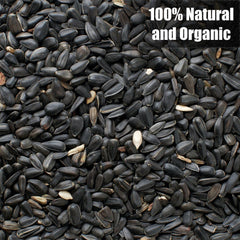 Old Potters semillas de girasol negro en bolsa; fácil de usar para alimentar la vida silvestre.