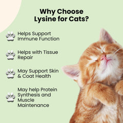 Dosis líquida con alta absorción para gatos con L-Lisina de Oliver & Co.