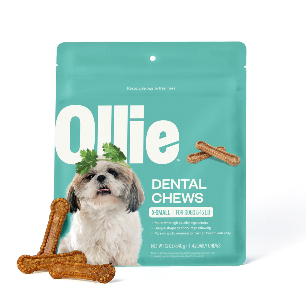 Ollie Huesos dentales para perros XS en empaque, cuidado dental diario.