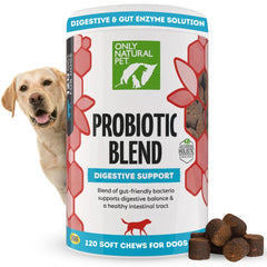Probiótico Only Natural Pet en frasco para perros y gatos, apoyo digestivo diario.