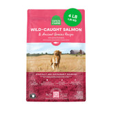 Open Farm Alimentos para perros con granos antiguos y salmón, proteína de alta calidad para energía diaria.
