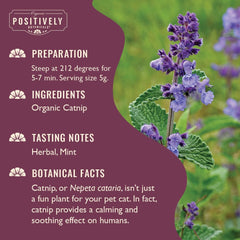 Organic Positively Tea Company infusión de Nepeta cataria con aroma calmante para noches tranquilas.