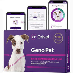ORIVET prueba genética canina: muestra bucal para identificación de razas con precisión