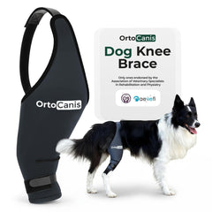 Ortocanis rodilla-perro: soporte estable para movilidad diaria y confianza.