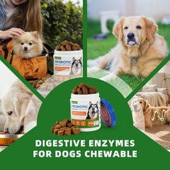 OurCares masticables con enzimas digestivas para mejor absorcion.
