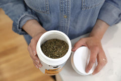 OurPets Catnip para enriquecer momentos de juego y exploración felina.